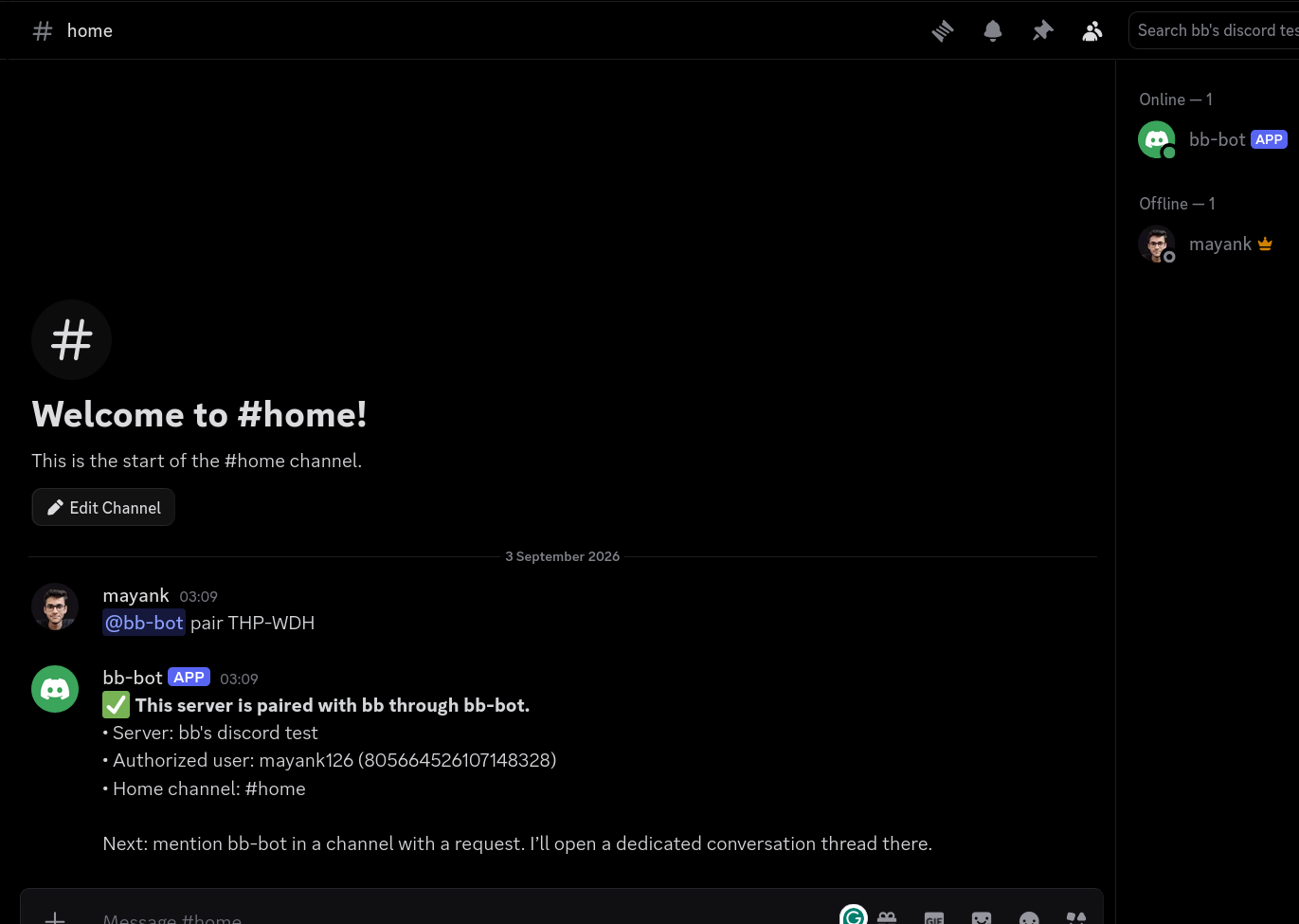 Discord screenshot 3