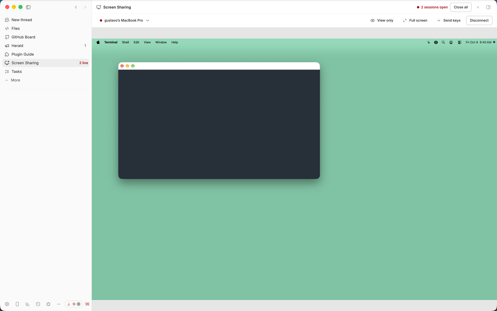 Screen Sharing screenshot 2