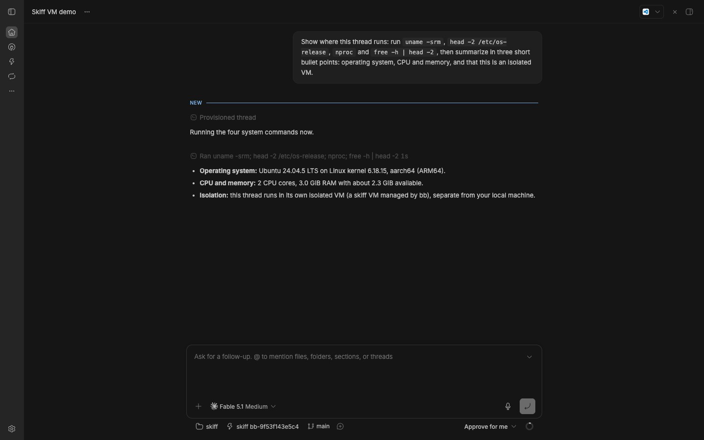 Skiff VM screenshot 1
